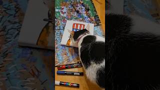 FLAG DAY CAT PAINTING 🇺🇸#flagday #catart #shorts