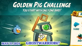 Angry birds 2 The Golden Pig Challenge 2024/05/31 & 2024/06/5 I got this! after Daily Challenge