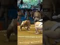 #相撲 #shorts #八艘飛び
