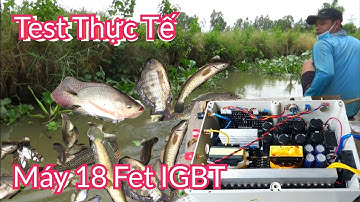 Test Thực Tế Máy Kích Cá 18 Fet IGBT Cá Lên Đẹp Auto Nguồn Nước|Điện Tử Nguyễn Sự| Catch Fish