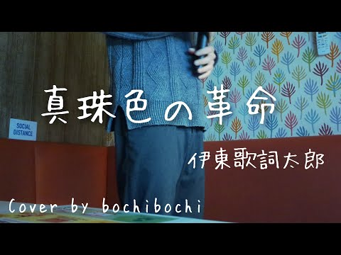 真珠色の革命/伊東歌詞太郎　歌ってみた🎤【Cover by bochibochi】