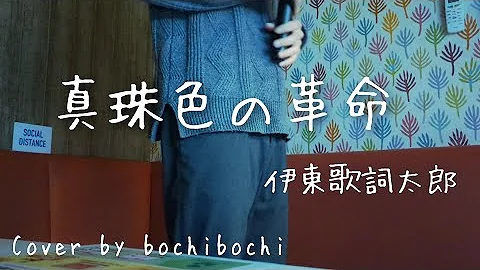 伊東歌詞太郎 真珠色の革命