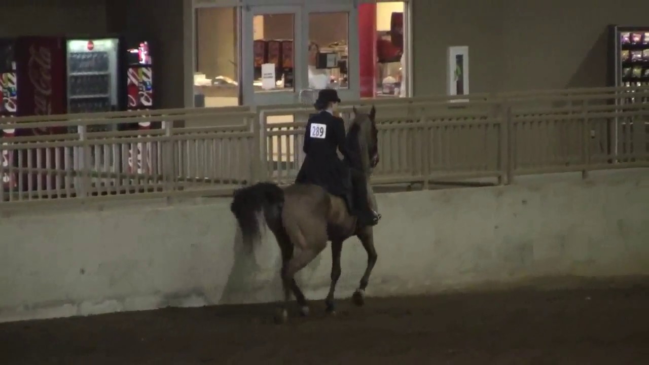 HA/AA Country English Pleasure Championship