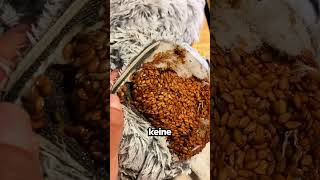 Sie Schlief Die Ganze Zeit Daneben