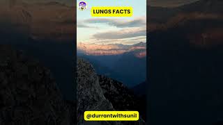 Smoke Signals: The Impact of Every Puff on Your Lungs shorts healthfacts @healthtipsforyou5331