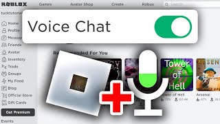 How To Get Voice Chat On Roblox - Full Guide screenshot 3