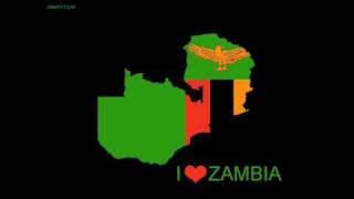 Mozegeta bakalalila
