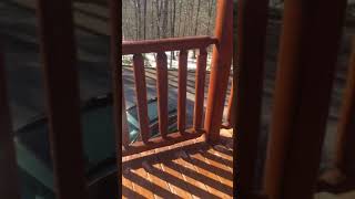 1006 Black Bear Cub Way preview e