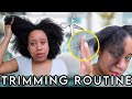 How I Trim My Fine Natural Hair ✂️ | How to Trim Natural Hair