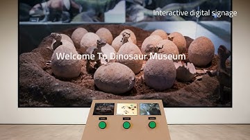 NovoDS series Signage Player