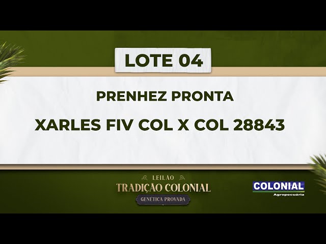 LOTE 04   CO L28843   XICLE FIV COL