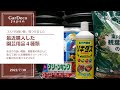 【コスパの良い鉢】最近購入した園芸用品４種類【有機肥料】