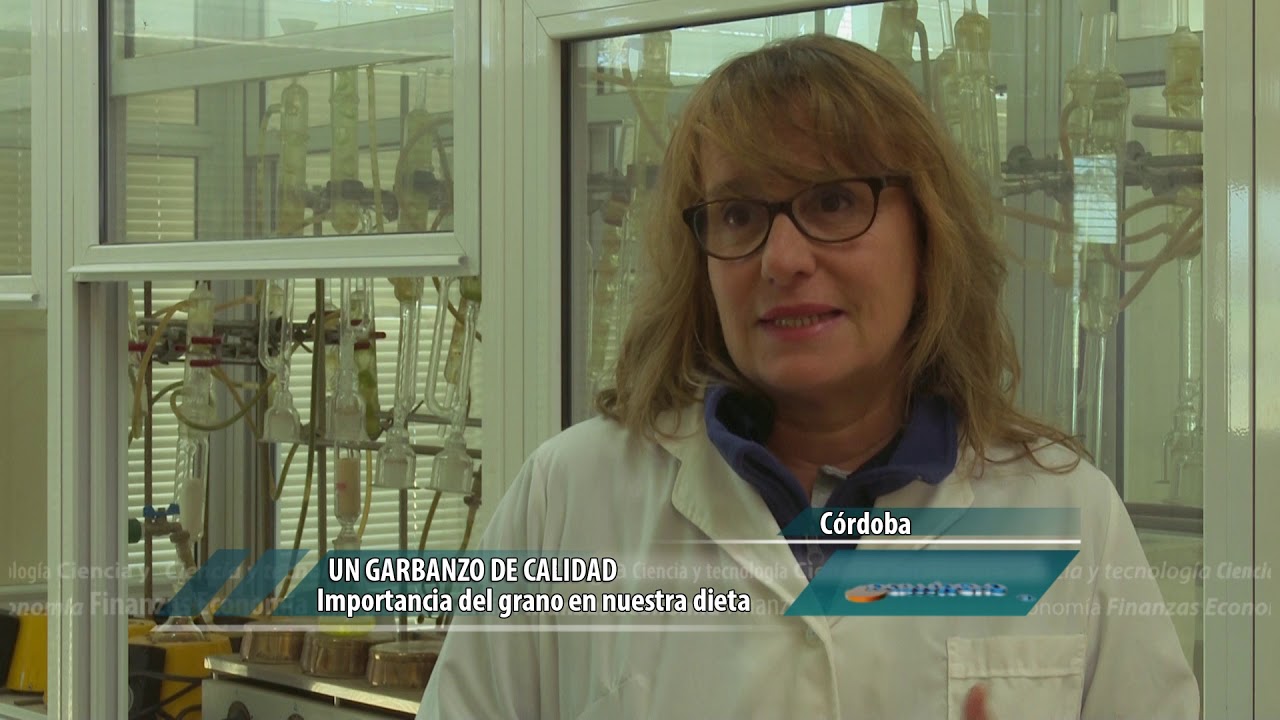 Un garbanzo de calidad intangible