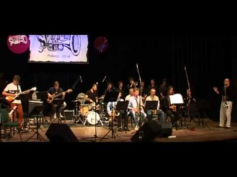 Puławy 2014 Koncert Finałowy 1