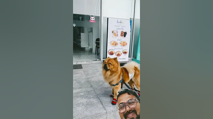 Lady Plays Hide and Seek with Her Dog #dog