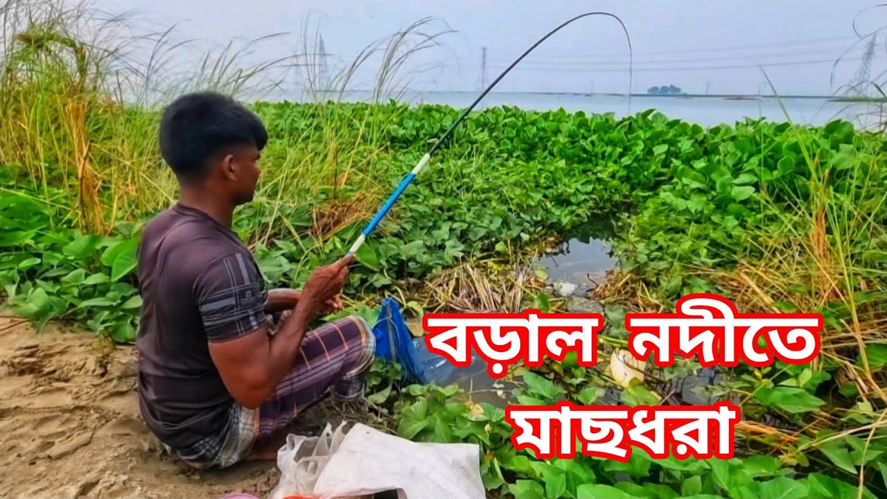 বড়াল নদীর দ্বীপে মাথানষ্ট মাছ ধরা 🎣🎣 Incredible hook fishing | Fishing video | Fishing BD Fast Tv 