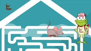 Problema Com Ratos? Chame A Tserv.