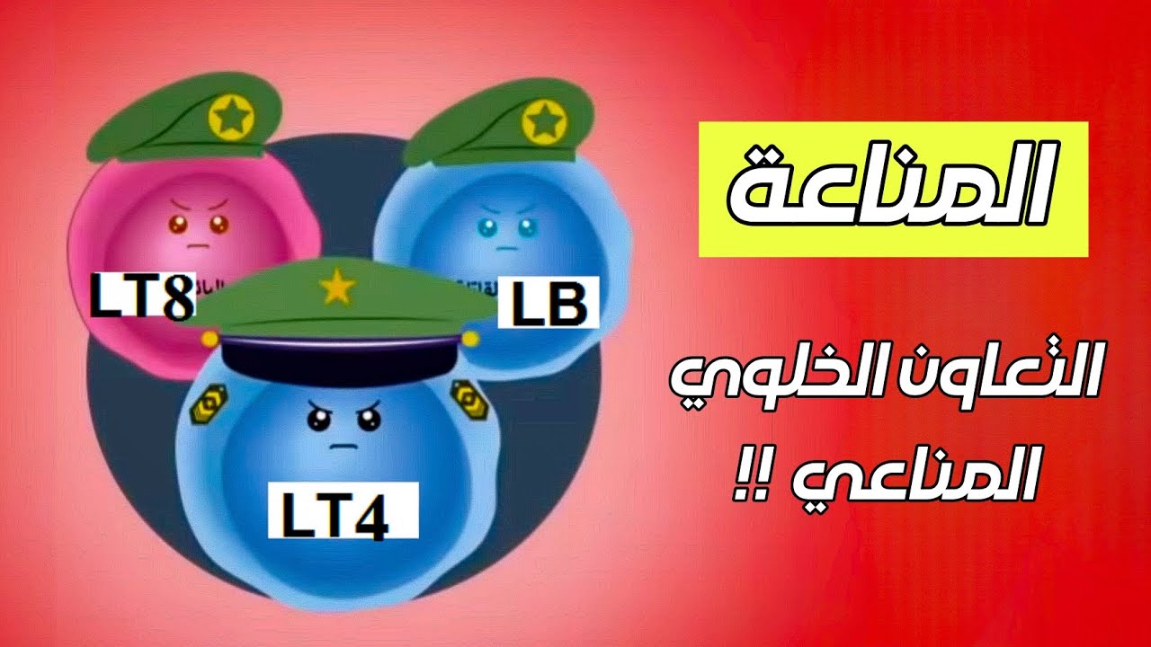 المناعة 🦠  [ أبسط شرح لتعاون الخلوي المناعي 🤔 !! ] .