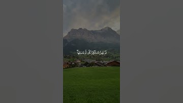 (ويل لكل أفاك أثيم) #القرآن_الكريم #تلاوة_خاشعة #ياسر_الدوسري