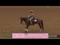 A Judge's Perspective: 2018 AQHA Select Working Cow Horse World Champion