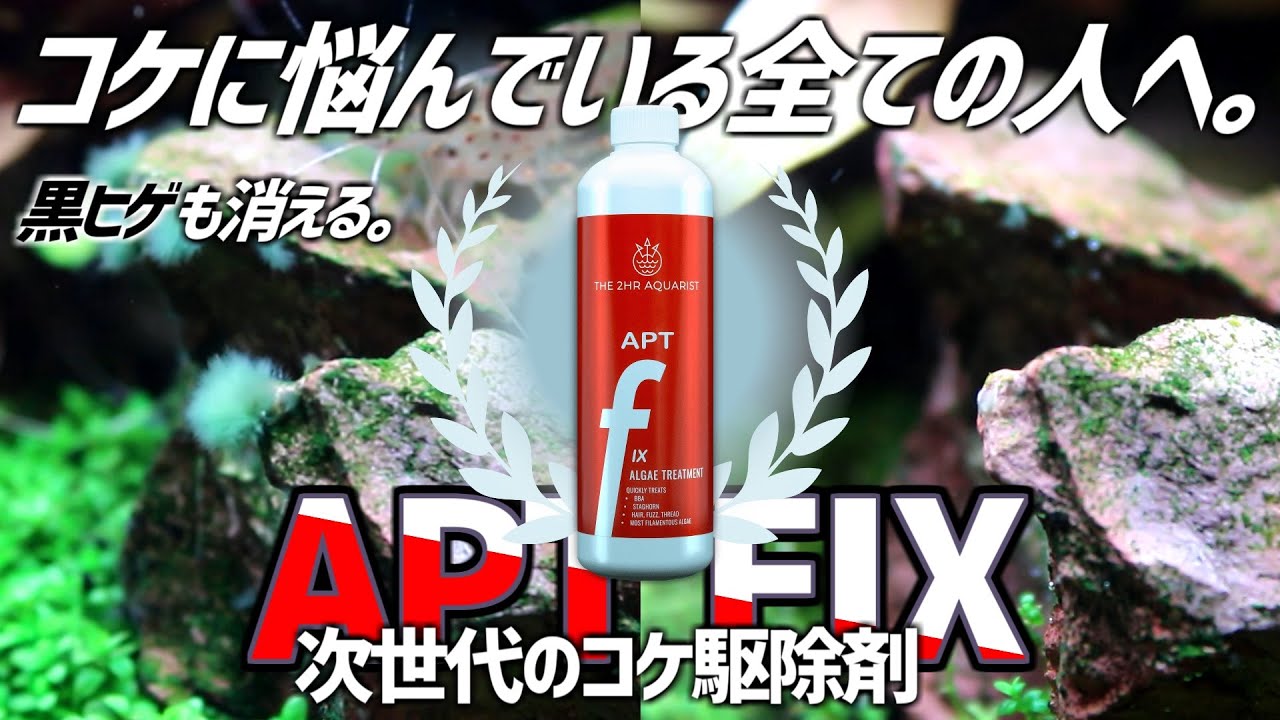頑固なコケに悩んでる方必見。話題のコケ駆除剤APT FIXを徹底検証&解説！#183【アクアリウム】