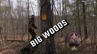 Big Woods Gobblers / Persistence Pays Off