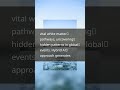 AI Unleashes Unprecedented Middle East Tensions