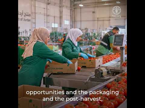 Jordan ministerial interview at the Hand-in-Hand Investment Forum 2026