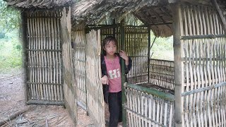 Orphan Life - Build bamboo shelter, make a bamboo house, Build Wall, Window - Homeless life