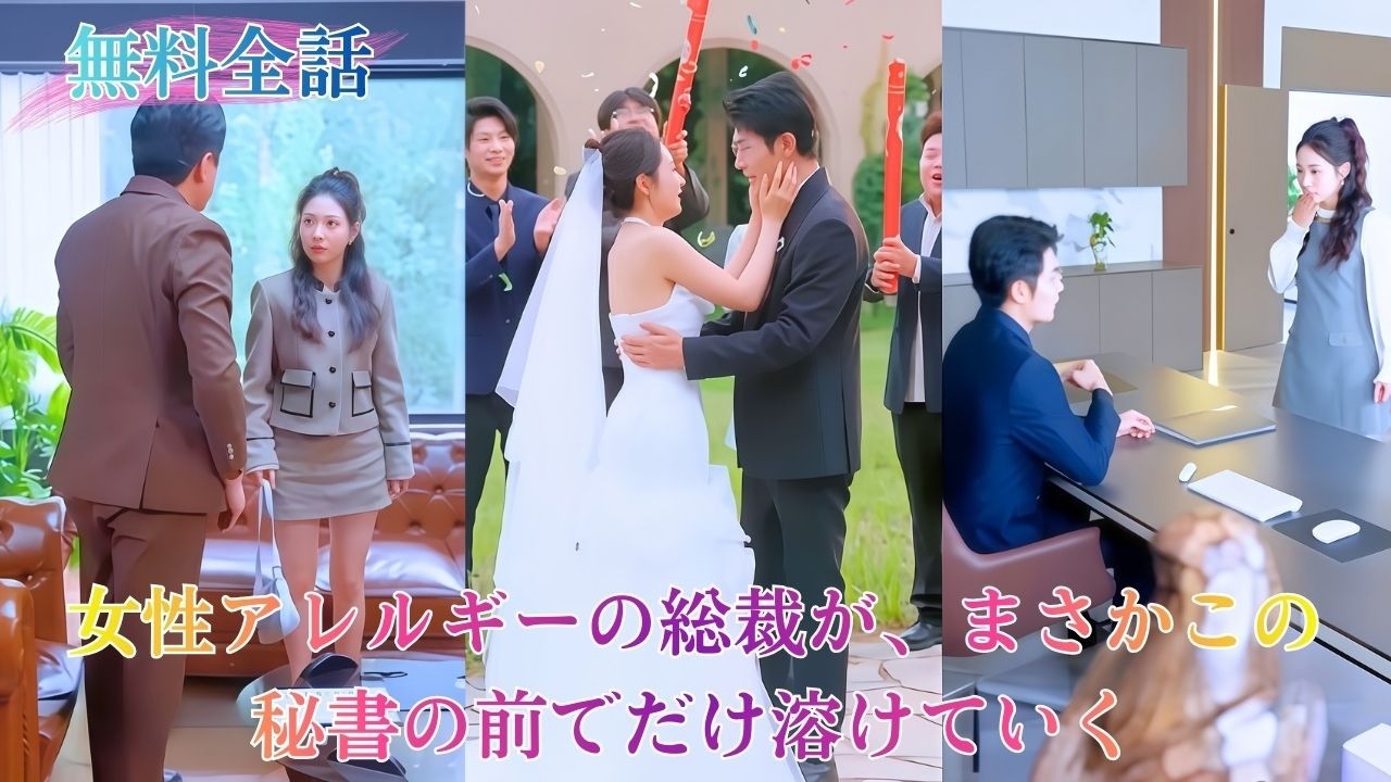 仕事を守るため、彼女は重度の潔癖症で“女性アレルギー”と噂される有名な総裁の秘書になることを余儀なくされた。だが彼女の存在は彼のルールを打ち破り、凍てついた彼の心を少しずつ溶かしていく