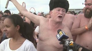 Polar Bears Take The Plunge