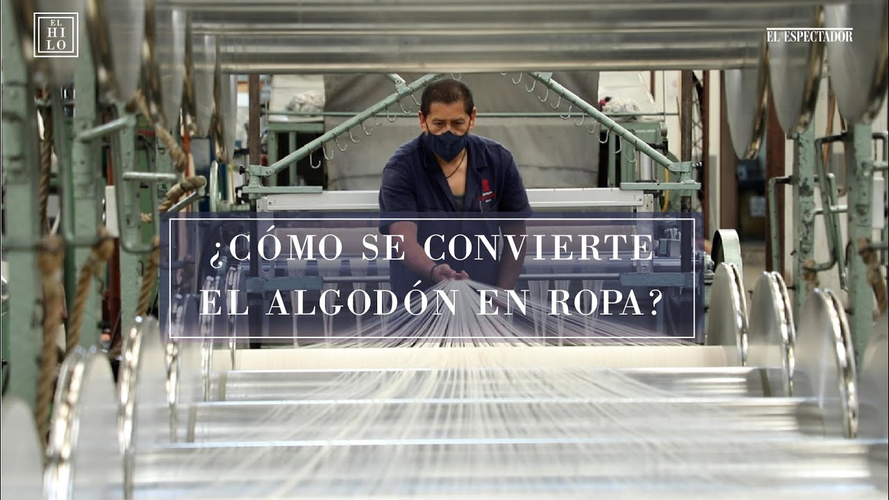 Del campo a su clóset: así se convierte el algodón en una prenda | El ...