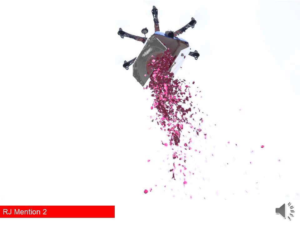 RJ Mention 2    Vodafone Delights Kite Festival 2014