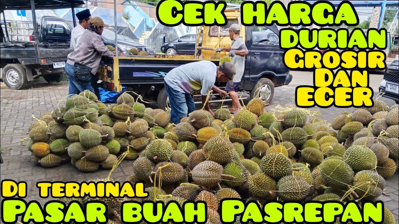 Update terbaru Harga DURIAN di akhir bulan februari di terminal Pasar buah Pasrepan kbpten psuruan