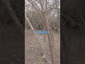 #Natureza