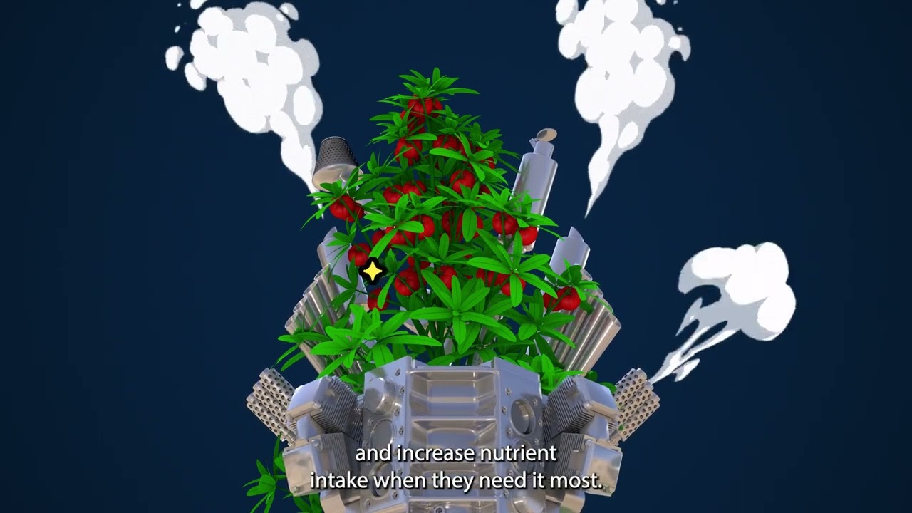 Mills Nutrients Ultimate PK