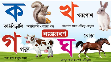 বাংলা ব্যঞ্জনবর্ণ ক খ গ | Bangla Banjonborno | ছন্দে ছন্দে ব্যঞ্জনবর্ণ শিখি | Bengali Alphabet 2023
