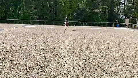 Prelim 13 dressage helen
