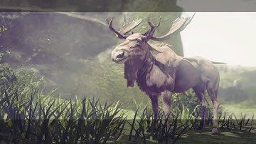 NieR:Automata Route C(9S): Chapter 17: The Tower -End-/Final Boss/Ending D- Leaving for the New Worl