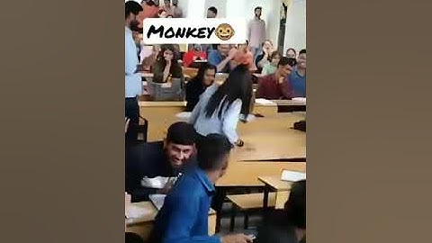 #cblu university 🐒🐒🐵 #bhiwani #university #cblubhiwani