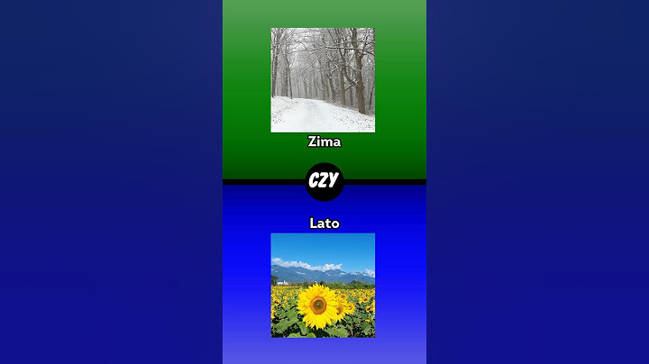 Dylematy: Zima vs Lato ❄️☀️ #shorts