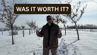 I Planted A Chestnut Orchard Heres What Happened After 11 Years