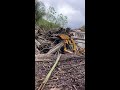 Automatic Bamboo Delivery Live