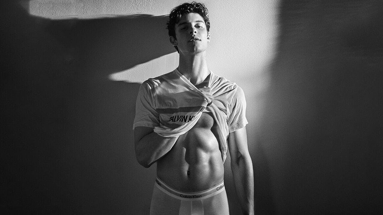 Shawn Mendes' Sexy Underwear Pics: Demi Lovato and John Mayer React