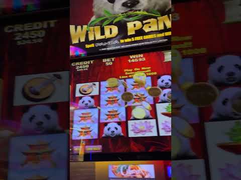 Bet365 Online Casino Bonus Review馃挵馃幇The Best Casino Bonus?馃憖