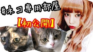 まさかの！7.5帖の猫ちゃん専用部屋！初公開♡親バカ