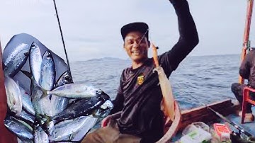 Câu Cá Biển , Câu Mực 12 Giờ Đêm Cá Mực Áp Dầy Đặc