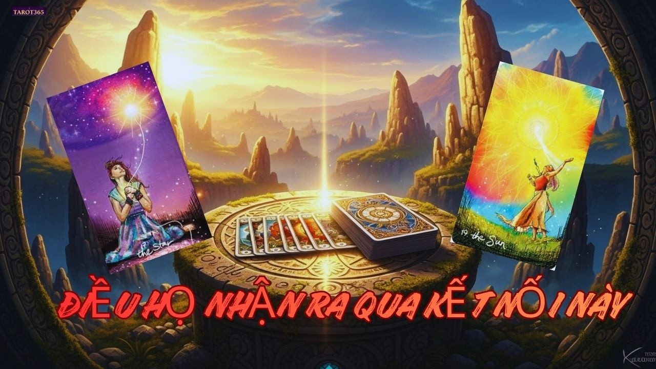 Tarot 365 | Họ Nhận Ra Điều Gì Về Bạn Từ Kết Nối Này?