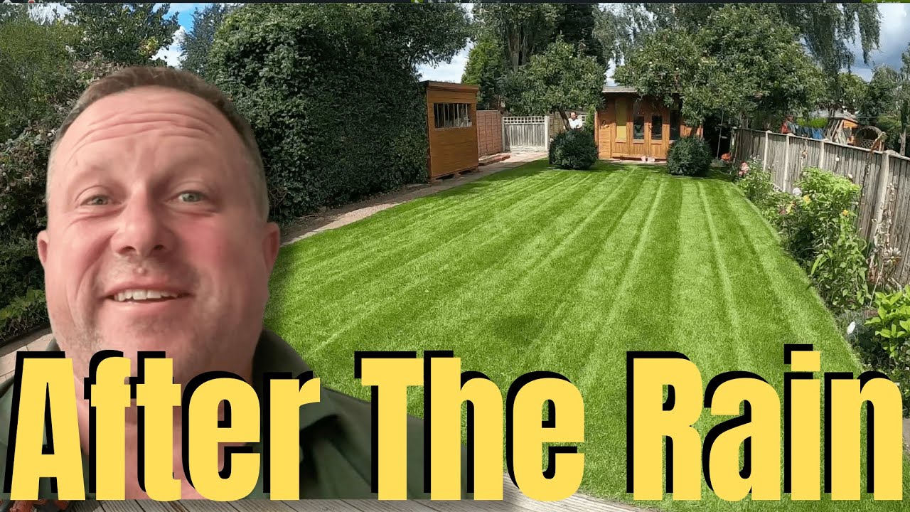 This Tool Has Changed How I Fix Lawns For Good YouTube