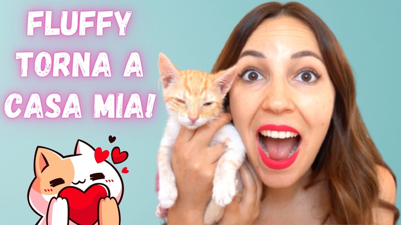 FLUFFY TORNA A CASA!!